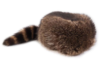 coonskin cap